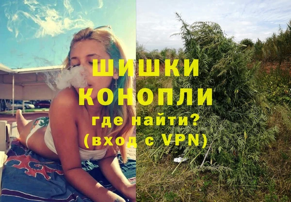 дурь Арсеньев