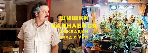 дурь Арсеньев